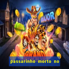 passarinho morto no quintal significado espiritual